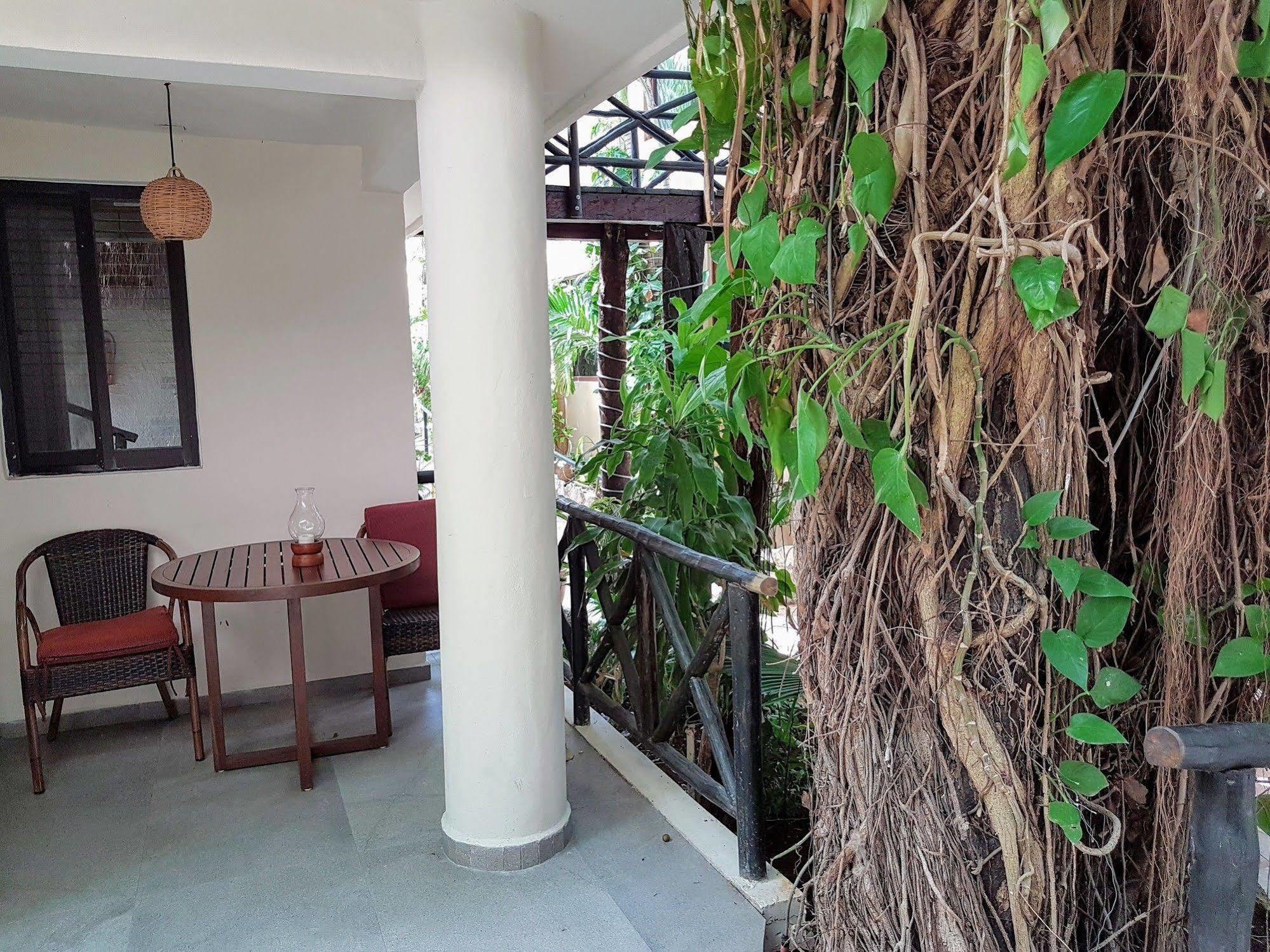 Hotel Club Yebo بلايا ديل كارمن المظهر الخارجي الصورة