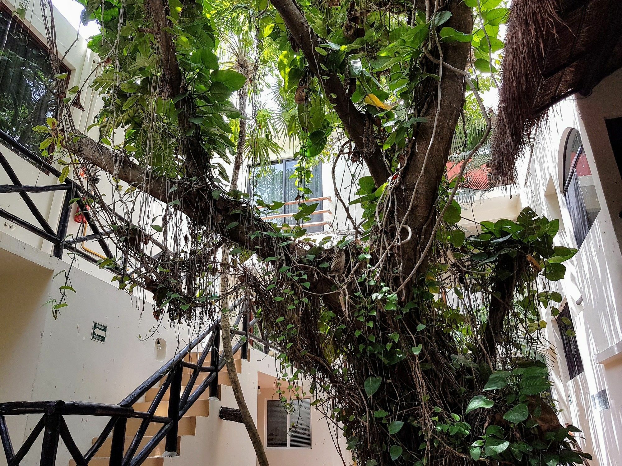 Hotel Club Yebo بلايا ديل كارمن المظهر الخارجي الصورة